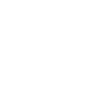 budget (1)